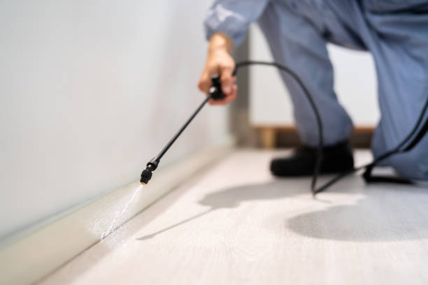 Licensed Termite Control service in Montrose, MI - Nex Pest Control