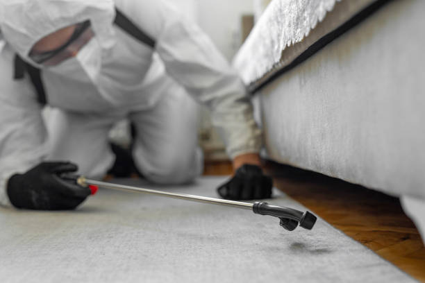 Professional Termite Control technician working in Montrose, MI