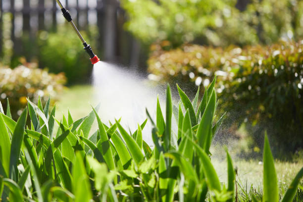 24/7 Emergency Termite Control experts in Montrose, MI