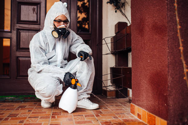 Reliable Termite Control contractor in Montrose, MI by Nex Pest Control