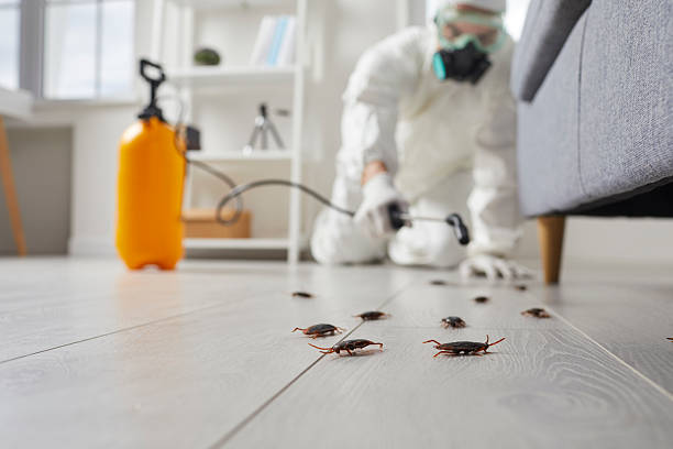 Trusted Cockroach Control service in Montrose, MI - Nex Pest Control