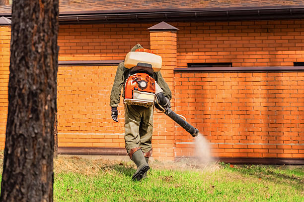 Trusted Termite Control service in Montrose, MI - Nex Pest Control